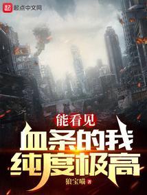 能看见血条的我纯度极高作