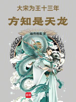 大宋为王十三年方知是天龙