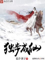 百炼飞升