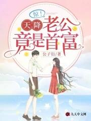 天降总裁老公无弹窗