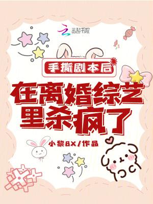 书名为手撕娱乐圈后朕爆火了