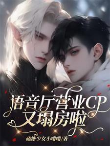 语音厅图片