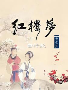 白话版红楼梦第33回概括