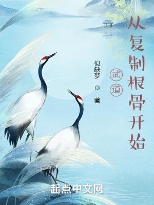 武道从横练开始