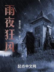 雨夜的风是什么意思