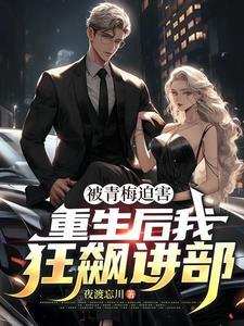 重生红三代 完结