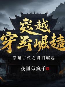 穿越古代成为将军的