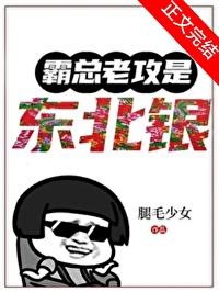 霸总老攻是东北银主角