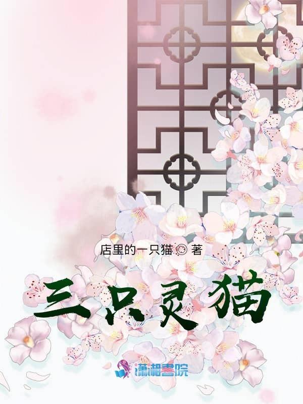 三只灵猫食品有限公司