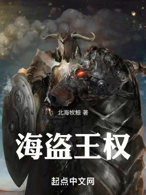 海盗王权在线