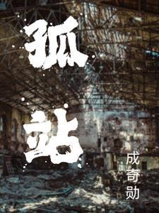 孤战电视剧