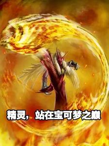 精灵宝可梦之再遇