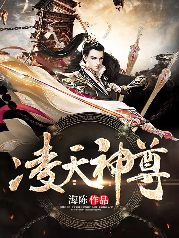 凌天神尊 顽石