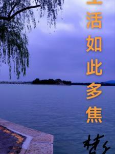 生活如此多焦66