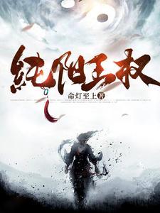 纯阳宫是哪部动漫的