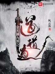 金光御九界之霹雳风云