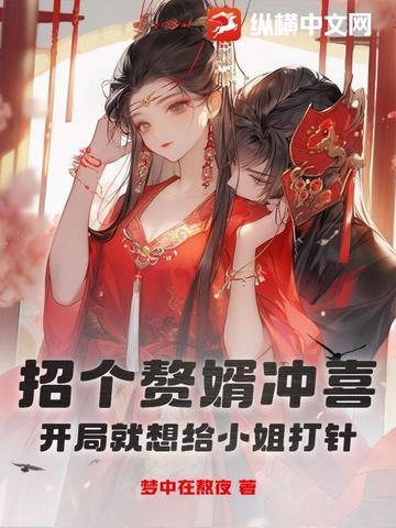招婿入赘