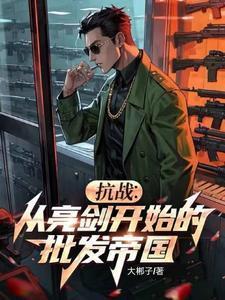 抗战之从亮剑开始打