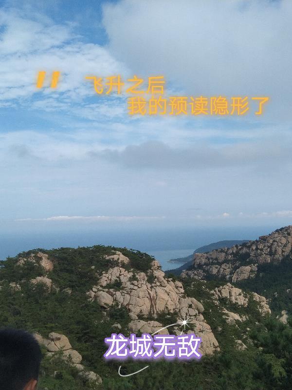 飞升之后