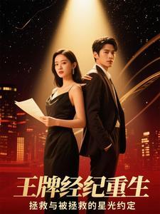 王牌经纪人暖小开读书网